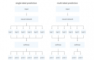 Multi-label Classification – Blog & Insights | Hive