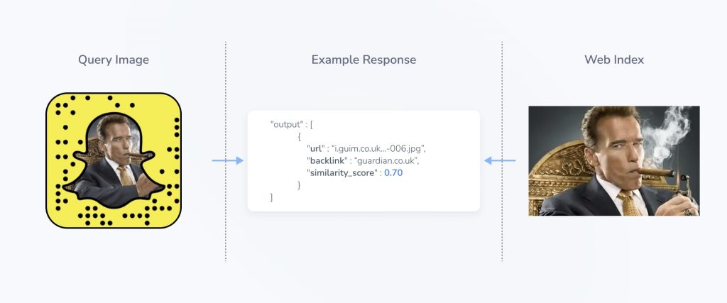 Example Web Search query image with a stylized overlay from a popular social media app. The API returned the original image used to generate the copy with a visual similarity score of 0.7