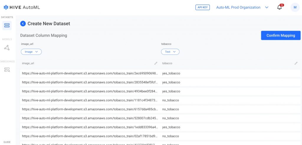 The column mapping confirmation page lets you double check that the data has been processed correctly.