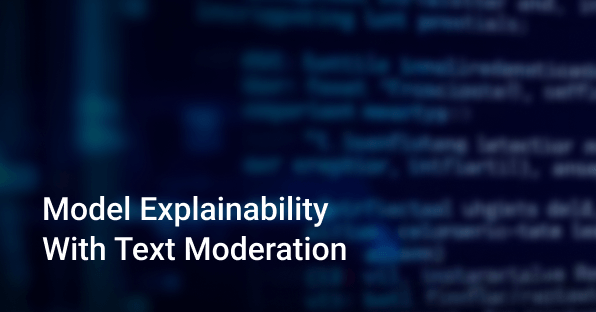 Model Explainability With Text Moderation